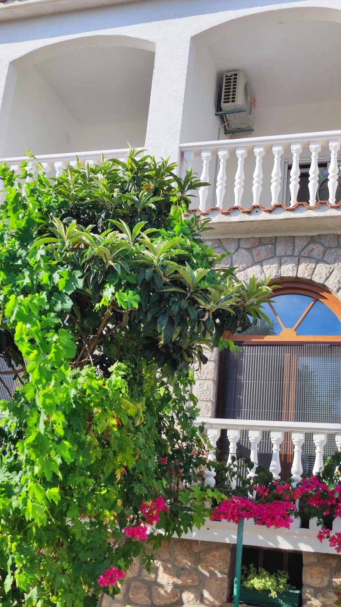 Apartments Veni Up Starigrad Paklenica Rum bild